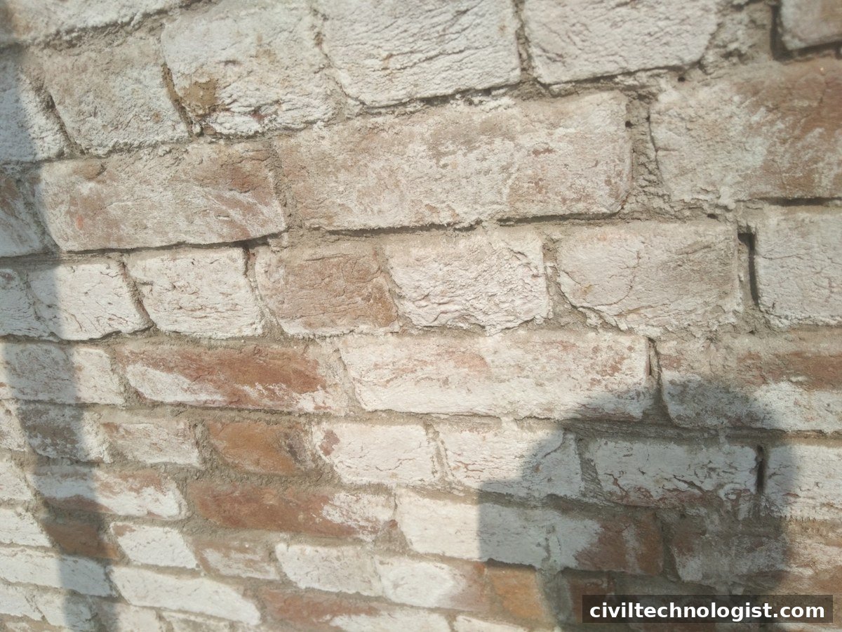 clay brick closeup standard brick quality